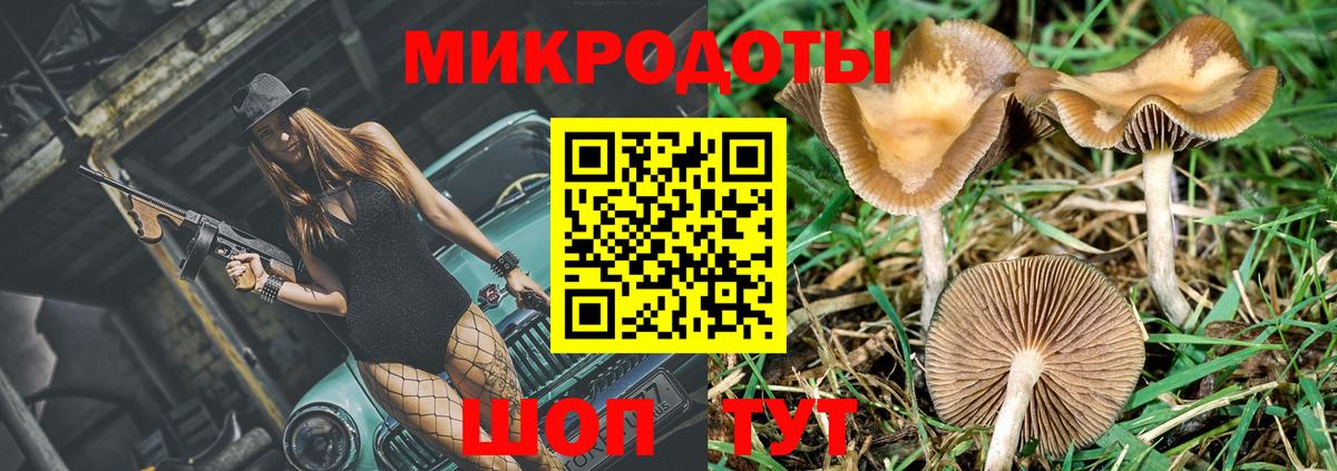 Галлюциногенные грибы Cubensis Калуга