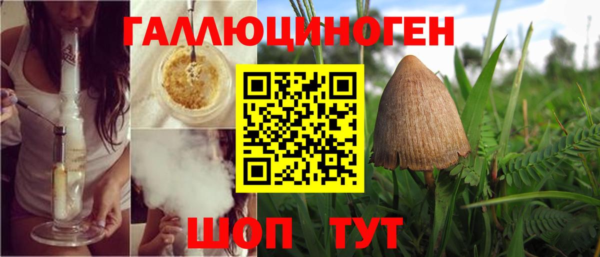 Галлюциногенные грибы прущие грибы  Вход с VPN  Калуга  Галлюциногенные грибы ЛСД 
